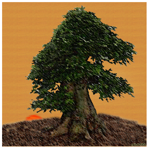 Becky's Tree (Modeled after an actual 50 year old bonsai ....)